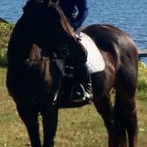 Meet your Posher, Karen